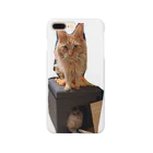 ゴマのような猫の乗ってる猫、乗られてる猫 Smartphone Case