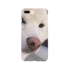 チームらんまるくん🐶のキリッとしたらんまるくん Smartphone Case