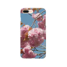 fun timeのCherry blossoms are close to Hanyu's monument 可憐な桜 Smartphone Case