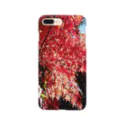 A＆OShopの咲き誇る紅葉 Smartphone Case