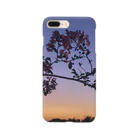 acquaのsunset Smartphone Case