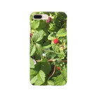 augustの小さな赤い花 Smartphone Case