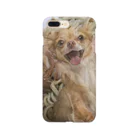 ポメラニ･アンのChihuahua Noodle Smartphone Case