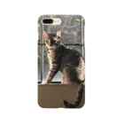 shumoreのJOJO　#猫　#ネコ　#ねこ Smartphone Case