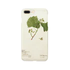 ArtShirtの Vitis: White Staminate Smartphone Case