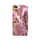 Jodlerin Sakura Kitagawa und die Edelweißmusikantenの八重さくら　１ Smartphone Case