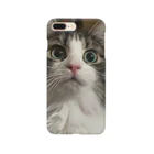 ねこねこねこのおどろきねこ Smartphone Case