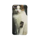 電気羊研究所science&GAMEのチラッと猫 Smartphone Case