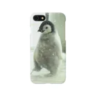 LeconteのBaby Emperor 042 step vol.2 Smartphone Case