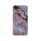 スマホケース 琥珀堂の枝垂桜 Smartphone Case