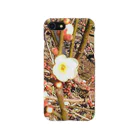 藍美代子の梅の花🌼 Smartphone Case