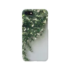 ampluieの木香薔薇 Smartphone Case