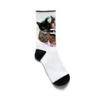 くぅTikTok猫部のTikTok猫部６にゃんソックス Socks