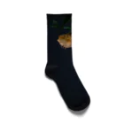 harucameraのnantehana Socks