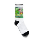 GASCA ★ FOLLOW YOUR DREAMS ★ ==SUPPORT THE YOUNG TALENTS==の【夏】GASCA Winner Series Socks