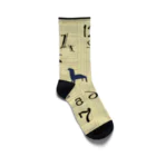 co-co-roの時空(じくう) Socks