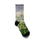 Asoiroの元旦 Socks