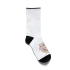 AriyamaSayuriの今日ものんびり。きんハムちゃん Socks