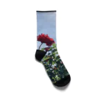 sAsA《空色風船物語*》の赤い薔薇と青い空 Socks