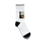 nightwalkerのアメリカを旅して Socks