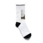 nightwalkerの冬のエッフェル塔 Socks