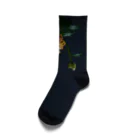 harucameraのnantehana Socks