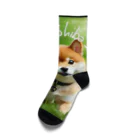 CC-LL (クク・ルル)の【柴犬】フォトリアル Socks