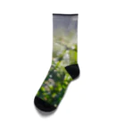 Asoiroの元旦 Socks