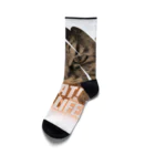 Lyra MoonpawのNO CAT! NO LIFE! Socks