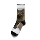 ポチオのトイレの上のポチオ Socks