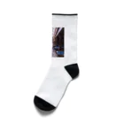 nightwalkerのパリのパッサージュ Socks