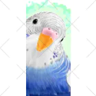 まめるりはことりのセキセイインコ　オパーリン大【まめるりはことり】 ソックス