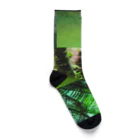 HIPPOのGREEN TAN Socks