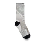 eclat-misaのnuance Socks