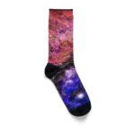 wack_iceの宇宙 Socks