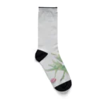 harucameraのチューリップ Socks