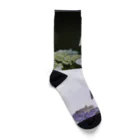 蛍石のhydrangeas Socks