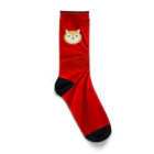 CCCC nyalov companyのFLORENCE RACING SOX ソックス