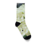 チエソーの紫陽花　白 Socks