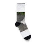 マフィロン同盟のマフィロン　あくび Socks