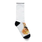 デジタルキャンバスの"シバワンダー" 柴犬愛好家Tシャツ Socks