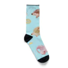 あみ〜かのヤマアラシの1日（粗） Socks