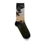 chan kumiのクミグッズ　chan kumi  Socks