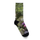 chan kumiの和風パワースポットshrine Socks