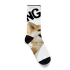 Runny_Shiba_Dogの飛び出す柴犬 Socks