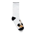 パンプアップ柴Hachiのパンプアップ柴Hachi Socks