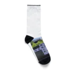 daiwa0830の消費税は社会保障にはほとんど使われていません Socks