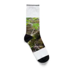 tizujonoboukenの自然豊か Socks