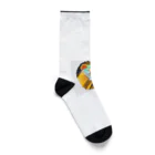 Nobbのパワーオブライオン Socks