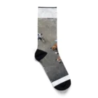 ohba1223のキツネの群れ Socks